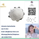 Lidocaine HCL 73-78-9