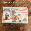 Passport ID card, driving license, visa