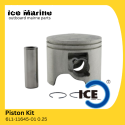 Piston Kit  6L1-11645-01 0.25