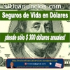 Desde tan solo $ 300 Dolares anuales