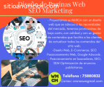 Diseño Web y SEO Marketing