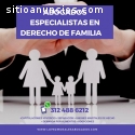 "abogados de familia derecho internacion