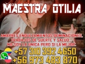 AMARRES REALES Y DISCRETOS  3103924650