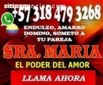 AMARRO SOMETO DOMINO 3184793268