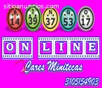 BINGO ONLINE DIGITAL BINGO EN EN LINEA