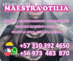 PROCESOS DE AMOR Y DOMINACION 3103924650