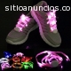 Venta de CORDONES DE LUCES LED al por ma