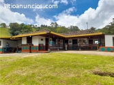 VENTA FINCA EN JARDIN VEREDA CASIANA