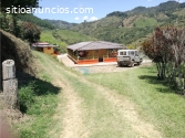 VENTA FINCA JERICO, SECTOR PALOCABILDO