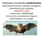 TRATAMIENTO CONTRA MURCIELAGOS