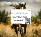 Servicio para caballo equinos en Ecuador