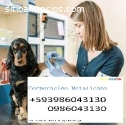 Veterinaria a domicilio Guayaquil Guayas