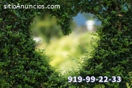 24 horas todos los dias. Amor y Videnci