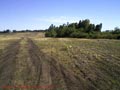 CAMPO DE 30 Ha CON VISTA AL RIO URUGUAY EN ZONA TURISTICA