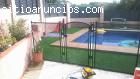 www.alumas2000.es