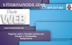 Diseño paginas web presenciales ecomomic