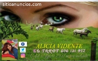 EL TAROT DE ALICIA VIDENTE