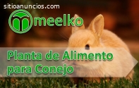 Planta de Alimento para Conejo