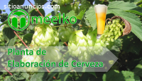 Planta de Elaboración de Cerveza