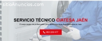 Servicio Técnico Ciatesa Jaen