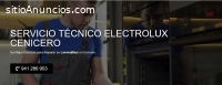 Servicio Técnico Electrolux Cenicero