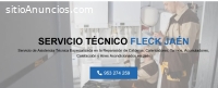 Servicio Técnico Fleck Jaen