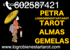 Tarot Amor Videncia Petra Logrobienestar