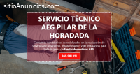 Técnico AEG Pilar de la Horadada