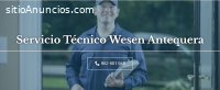 Técnico Wesen Antequera 952210452