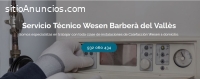 Técnico Wesen Barberà del Vallès