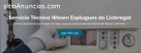 Técnico Wesen Esplugues de Llobregat