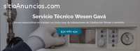 Técnico Wesen Gavá