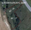 We sell investment company with 736 ha i