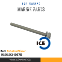 ICE Marine Bolt