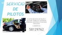 SERVICIO DE PILOTO PARA CASAS O EMPRESAS