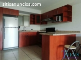 Apartamento en renta en zona 11