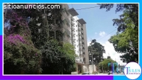 Apartamento en renta en zona 7