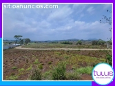 FINCA EN VENTA EN VILLA CANALES