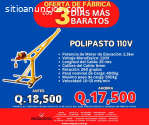 **OFERTA DE 3 DIAS POLIPASTO DE 110V Y 2