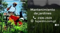 Servicios de Jardinería y paisajismo