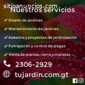 Servicios de Jardinería y paisajismo