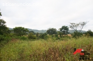 finca en venta ochomogo-rivas