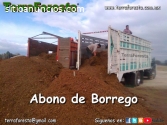 ABONO DE BORREGO