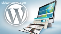 Diseñador Wordpress Freelancer