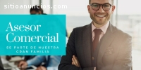 Ejecutivo comercial- previsión social