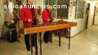 Marimba Chiapaneca para fiestas