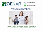 Pensión Alimenticia DF y Estado deMéxico