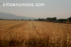 Rancho en venta Irapuato Gto.