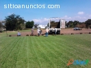 Venta de pasto en rollo