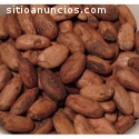 Venta de semilla de cacao